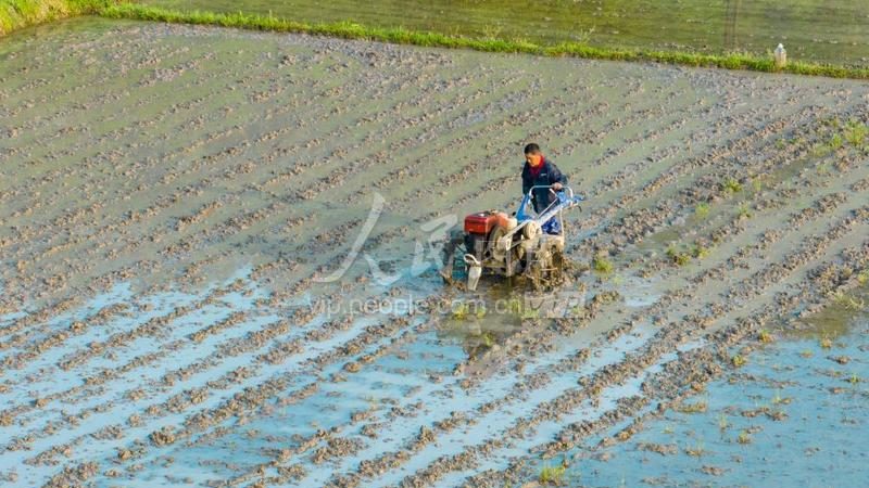 鱼用颗粒饲料机模具规格分类：揭秘高效养殖的秘密武器